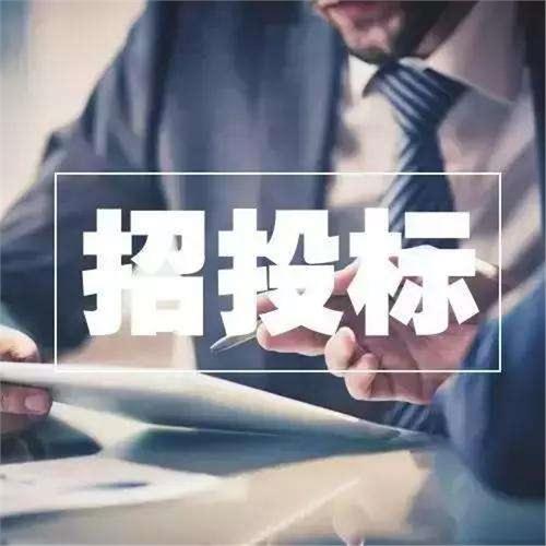 招标代理服务费的合规收取标准与争议处理 政府采购代理服务的实践与探讨