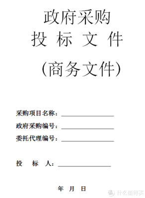政府采购代理服务 新手如何高效完成一本服务类标书